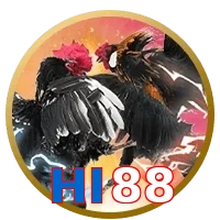 HI88